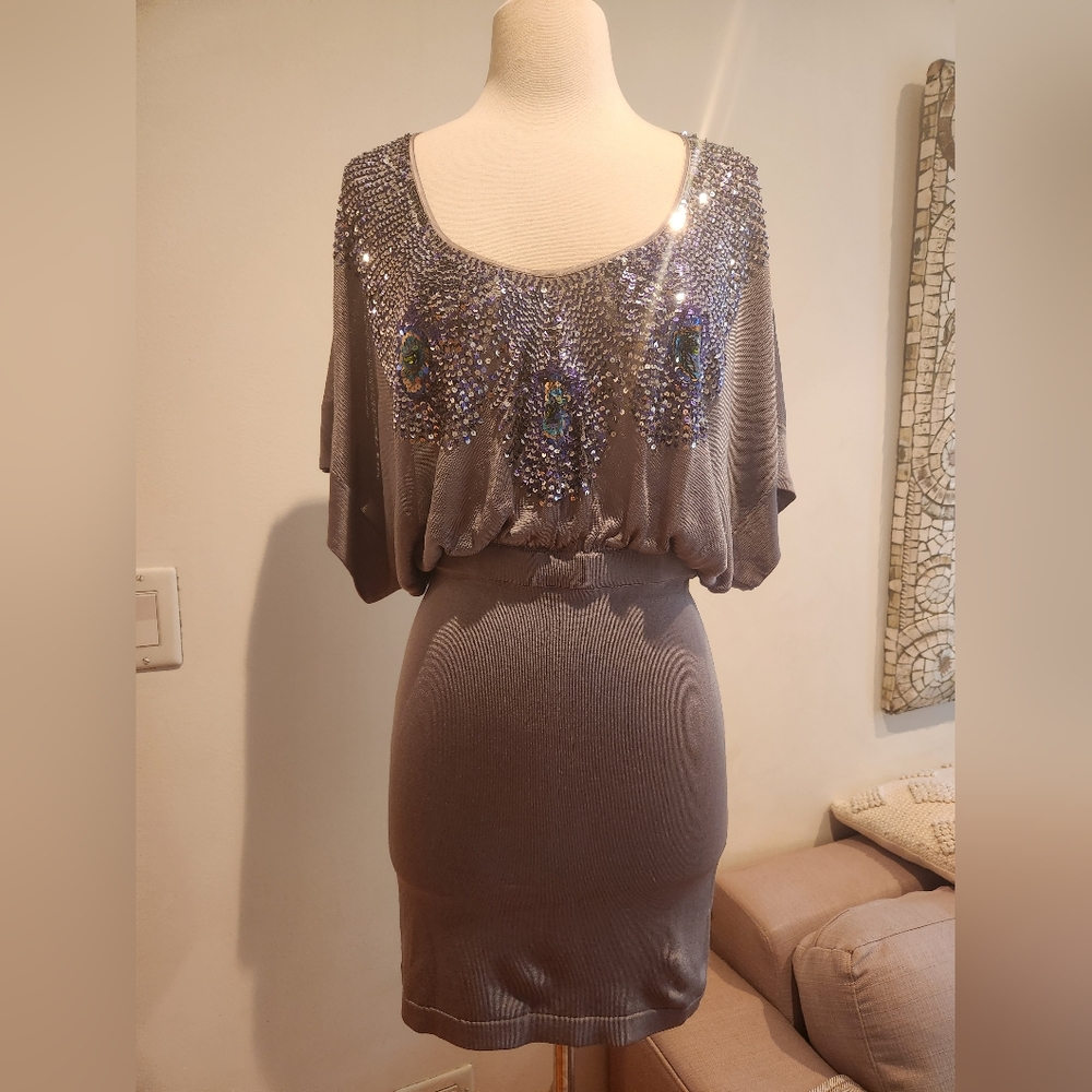 mlh Sequin Dress with Bodycon Skirt in US size M